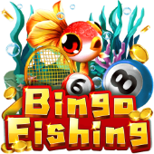 Bingo Fishing on JL44